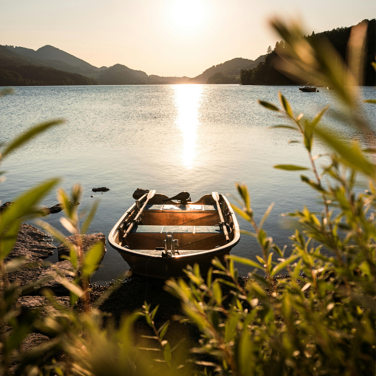 EP119丨贪求功德福报，对吗？