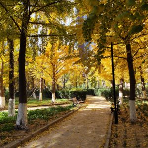 扔掉双拐 自由奔跑