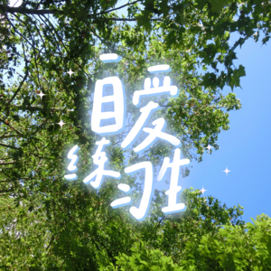E95. 懒人独居，如何轻松实现高质量生活？