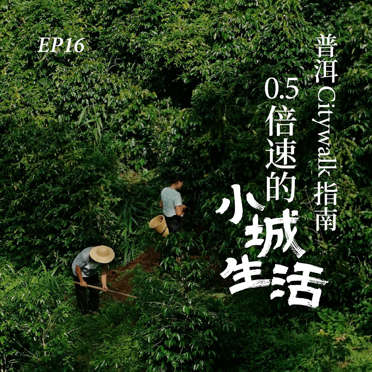 Podcast Cover
