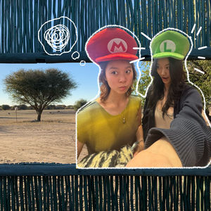 非洲双子星会客厅