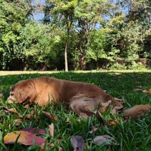 讲讲离婚那些事，体面的分手有多难