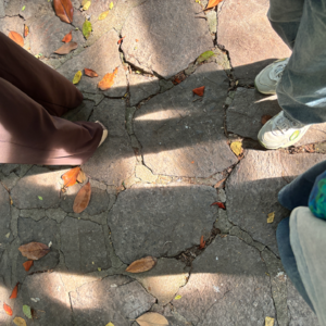 04 浮游：切片盒子 理想如针扎进不得眠的夜里