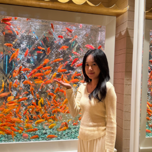 再见2025：在不确定的世界里，接住自己