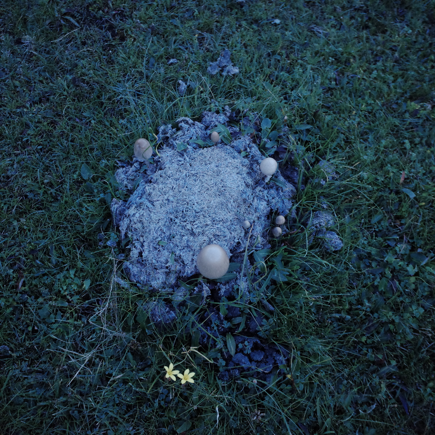 jy.「洗衣房的02:30」没早饭吃 episode artwork