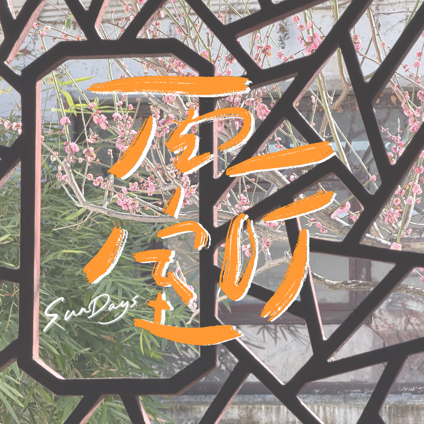 148｜想做什么的念头冒出来，别等等再说