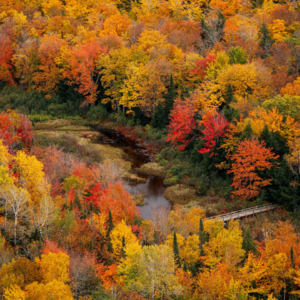 Ep9. 闪闪发光的2024下半年