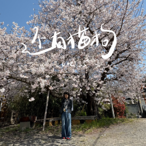 35 春天里发生的事：生日金镯子和家常菜