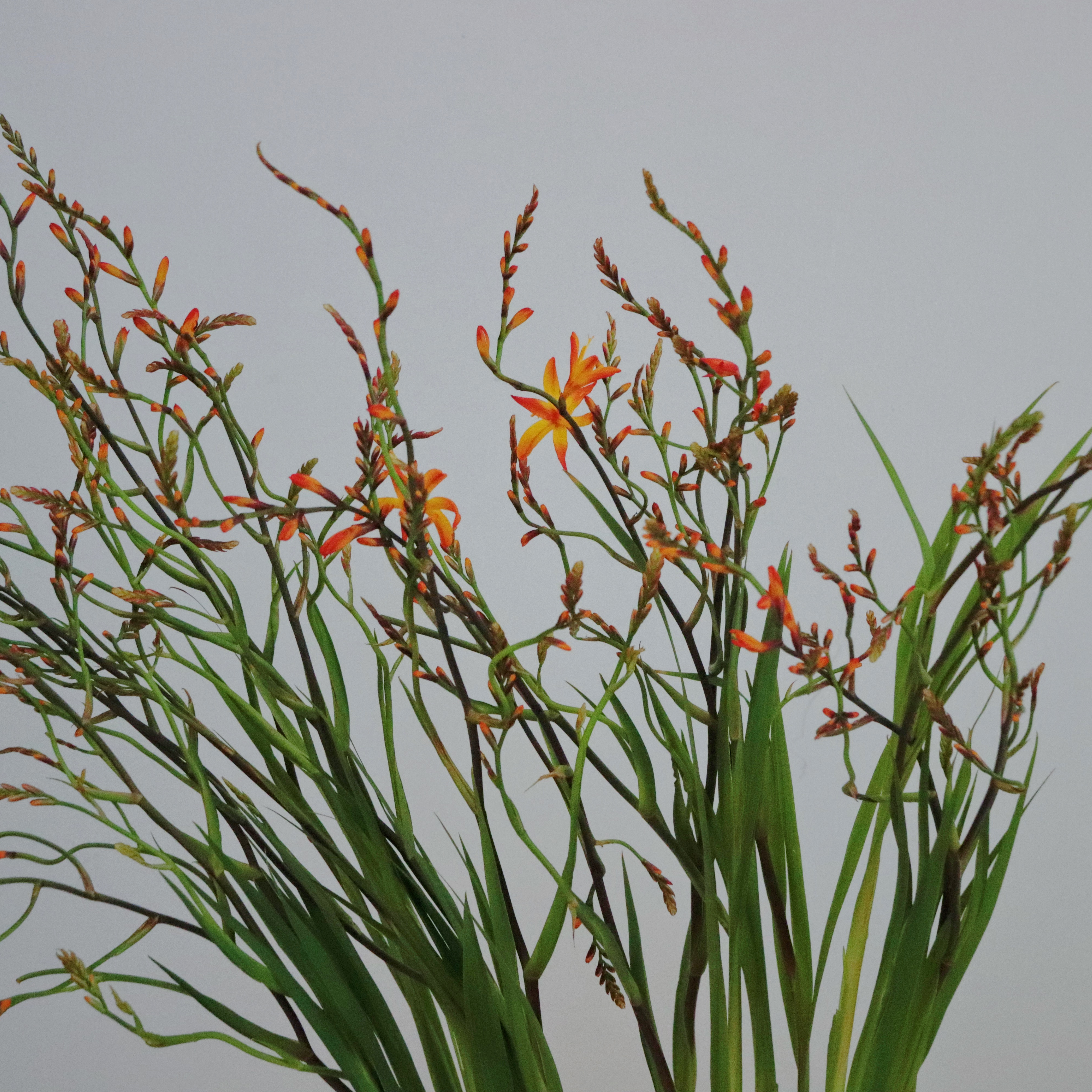 002 | 在不确定中和自我相遇