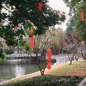 Ep15. 没有更轻松的人生，只有愿不愿意承担自己的选择 ft.Bob