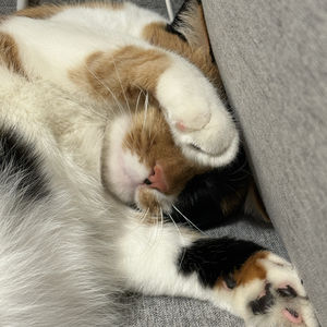 来福她妈的闲扯