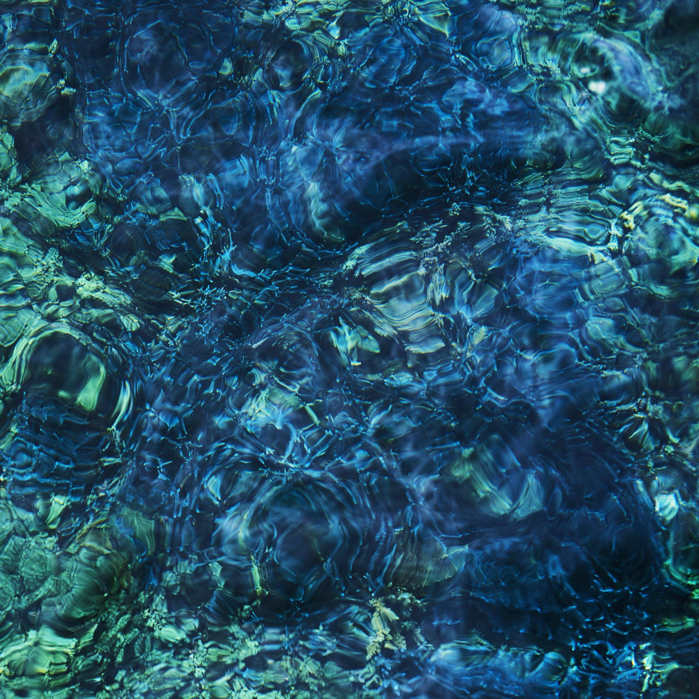 青葉市子 - Luminescent Creatures episode artwork