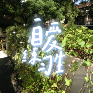 E72. 熬夜成瘾,如何实现无痛早睡?