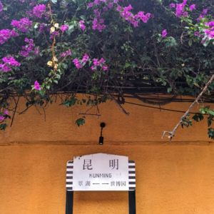 No.28【走走停停看世界】云南之旅(上)——彩云之南,去有风的地方,让身心回归烟火