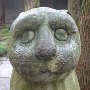 ep52. 春游和修行