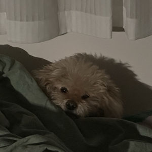 自我反思与复盘