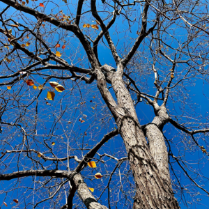 对话高中生：上大学后我学会的第一件事就是学会独处！