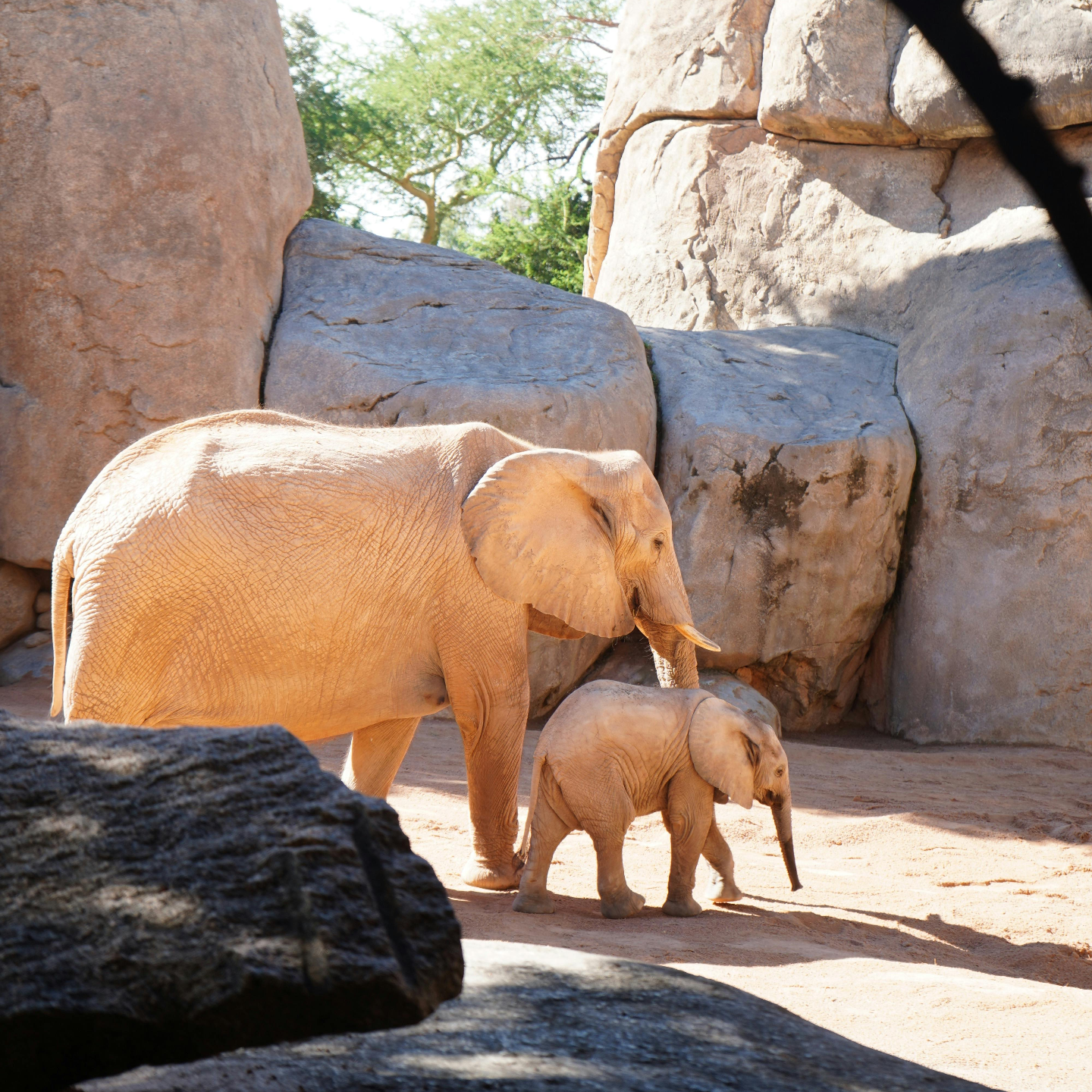 EP129丨驱动八字与人生运转的一些欲望
