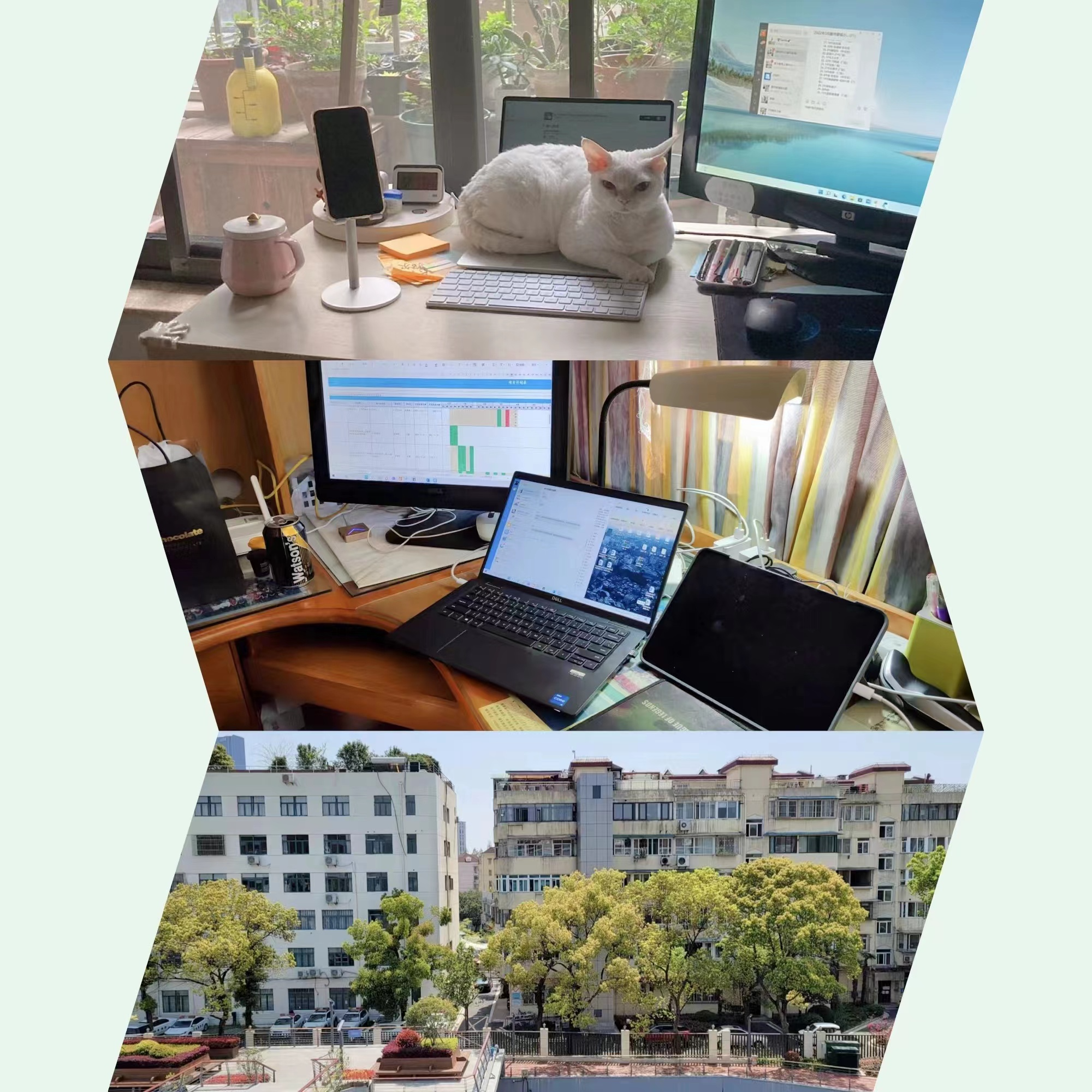 打工人心声 | 这样居家办公,老板听了也想给我鼓掌
