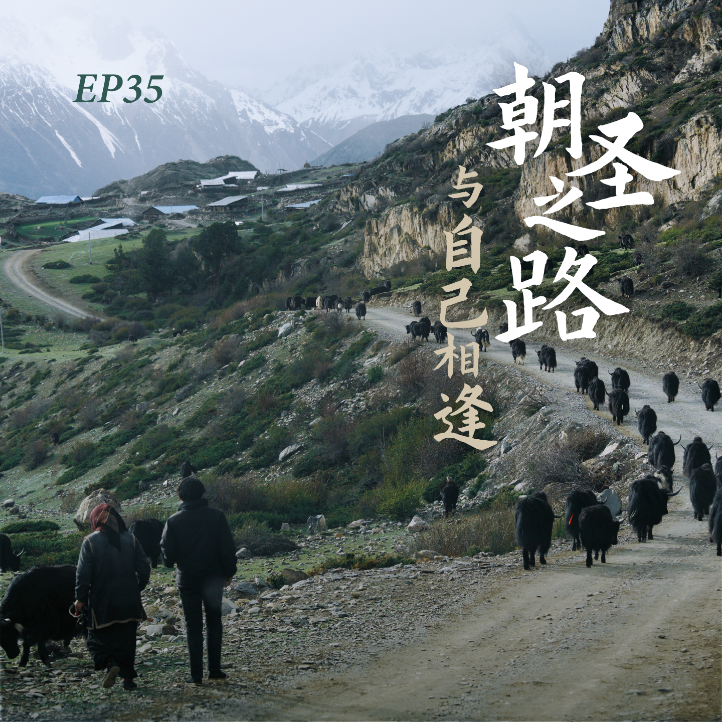 Podcast Cover