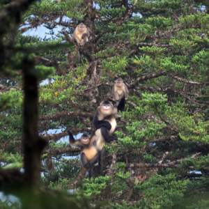 Vol.3在丽江,孩子们最喜欢的自然教育