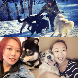 是我们陪伴了狗狗，还是狗狗治愈了我们？| 毛朋友电台04 X WDYM