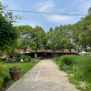 4. 在崇明岛，我找到了上海城市牛马的解药