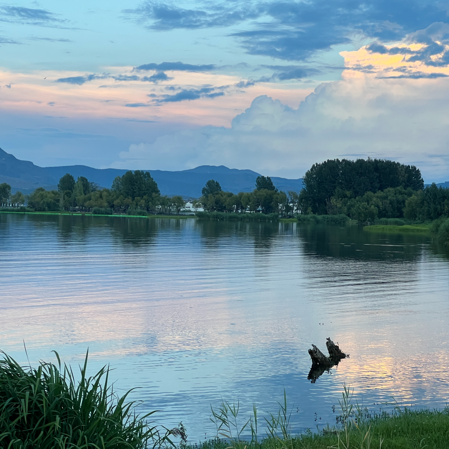 「本地人带路」大理，你根本不会玩！