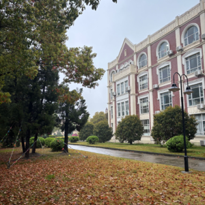 50. 下雨天真的好不想干任何事