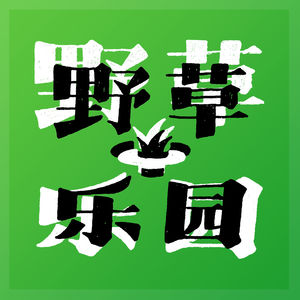 野草🪐乐园