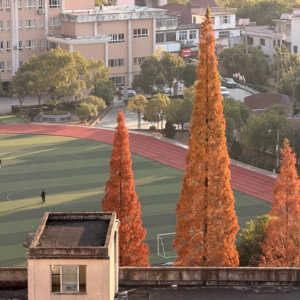 免费的东西会在其他地方收取代价 📅 Dec.19