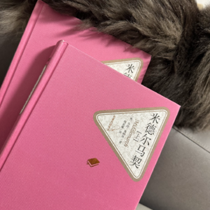 E12《米德尔马契》（二）：每一个碌碌无为的中年人，都曾是怀揣热情和野心的青年