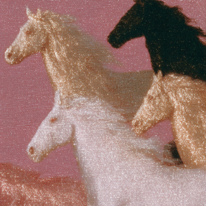 马年特集—「以梦为马 骑马观月 随处可栖」