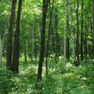 010 东北夏日周游
