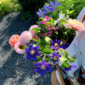 VOL553.电影《北京乐与路》∶摇滚青年们沉醉在音乐的乌托邦，宣泄文化乡愁的苦闷。