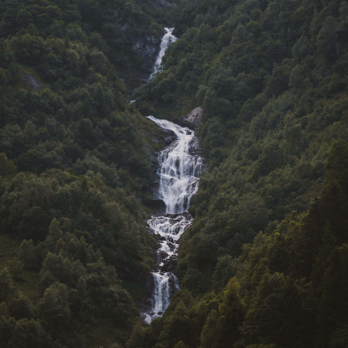 AMA丨业力清算加速？低谷期梦境的预示？极限运动消耗运气？命局气杂小人多？…