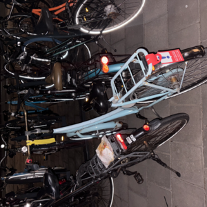 worthy 5｜不在乎一切的生活不要太幸福