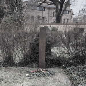 Vol. 81. 把手机（zhuantou/xin）放在你脚下 | 在海纳·穆勒墓前的《心脏碎片》朗读