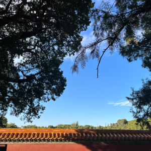 下沉年代，在地坛公园里聊聊史铁生 E.45