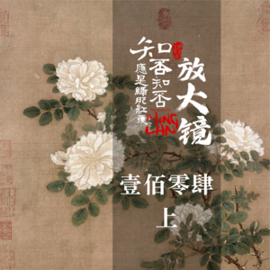 知否放大镜 104 上：康姨母的疯狂，源自何处？