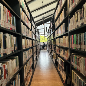 No.38-玄学：经验对觉醒的人来说是助力