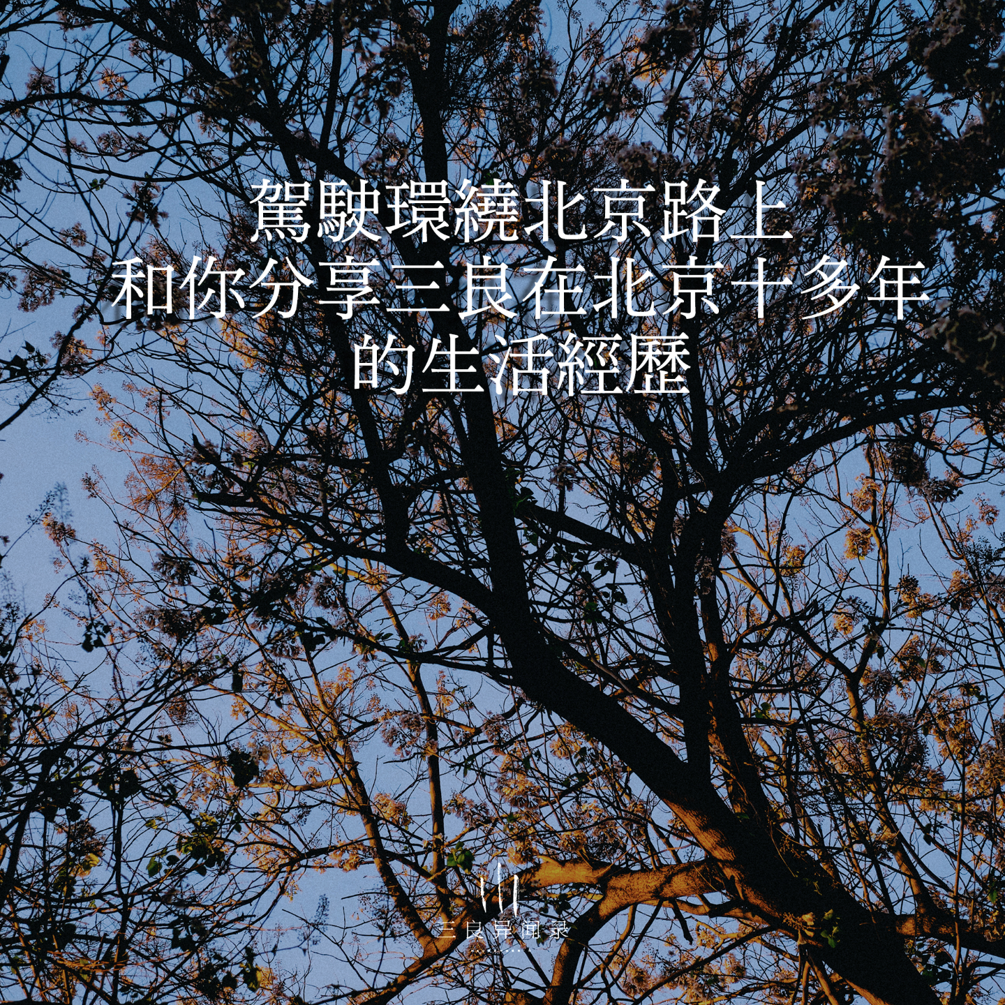 【三良日常】在北京十年的生活经历，驾驶北京环线上与你真诚分享 episode artwork