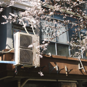 整理微博收藏也是在整理回忆 📅 26.Mar.12