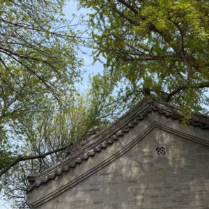 #204 北京线下｜不上班的第四年，向前走，别回头！