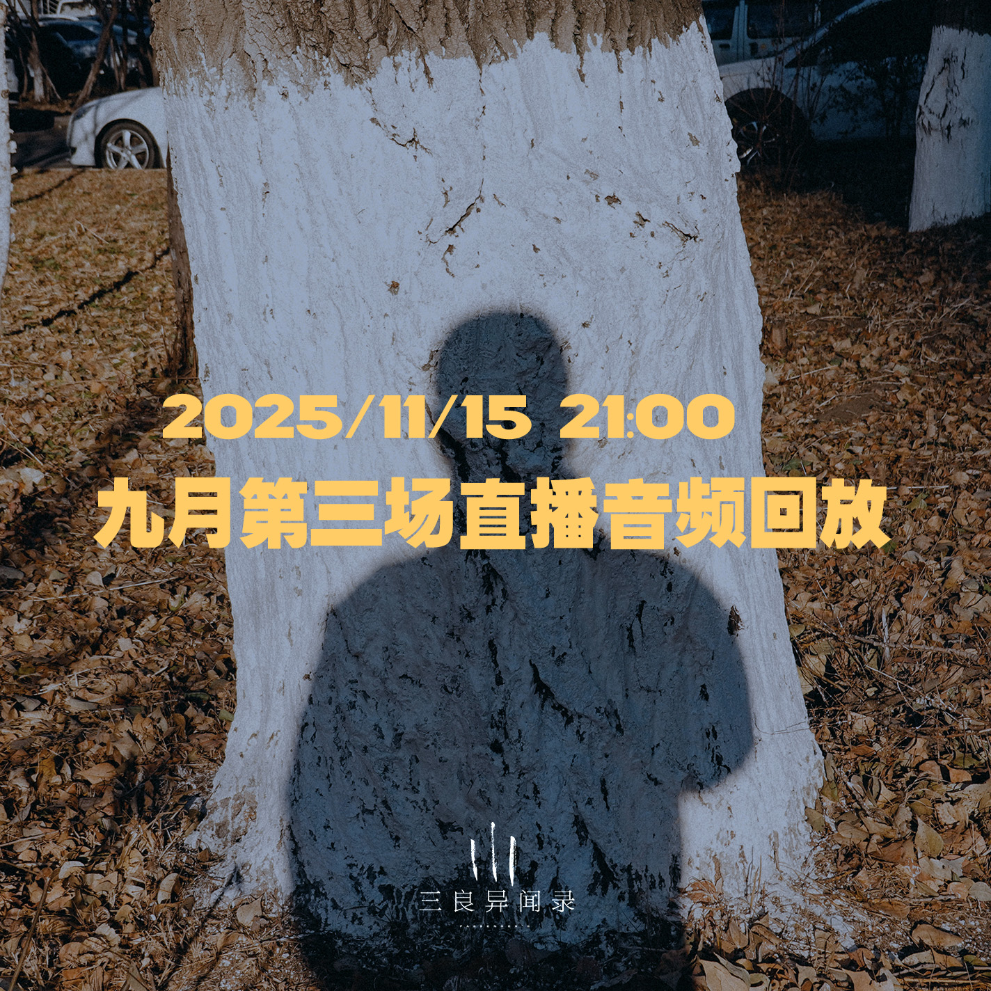 【直播回放】十一月第三场直播回放 2025/11/15 21:00 episode artwork
