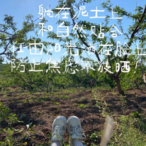 分享 在村子里 阳光晴朗晒太阳的一刻