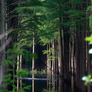 EP13 趁新鲜 · Thoughts