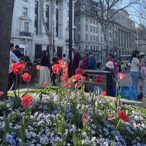 xxx在全国高校思想政治工作会议上重要讲话