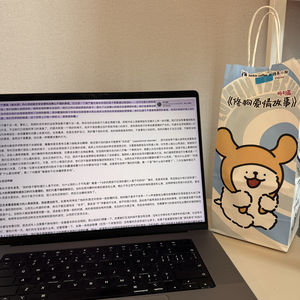 《一个孤独漫步者的遐想》