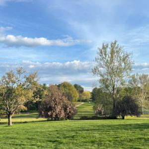 101 旺自己的4个思维：清理能量，腾出手来接住好事